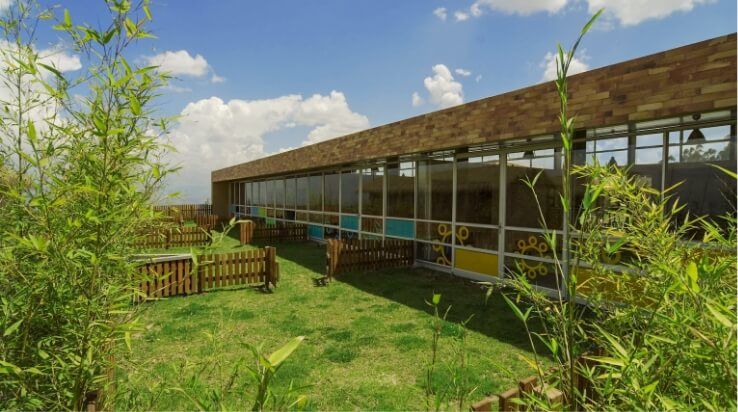 liceo campover colegio